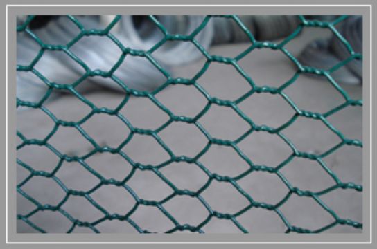 Hexagonal Wire Netting